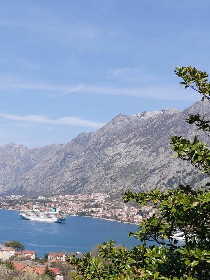 Dolce Casa Villa Kotor Eksteriør bilde